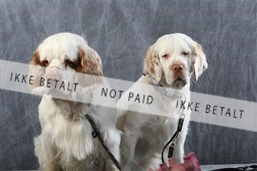 129608_le_ 01_0745.JPG