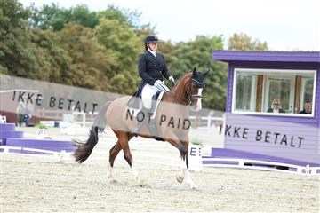 181923_mtp_04_R62_8432.JPG