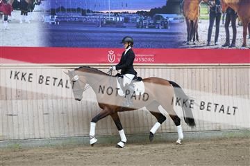 181887_mtp_01_R62_6578.JPG