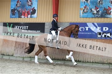 181867_mtp_01_R62_4117.JPG