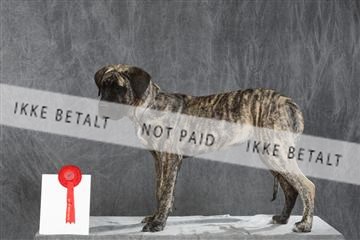 130054_le_ 03_0154.JPG