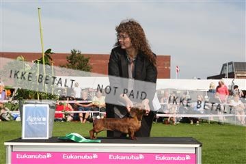 130370_se_02_IMG_6495.JPG