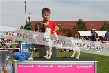 130370_se_02_IMG_6437.JPG