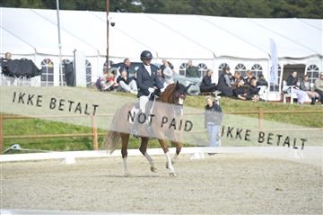 169624_kbb_01__KBB8622.JPG