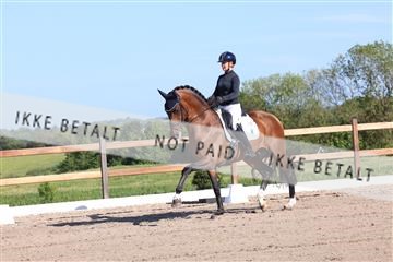 181449_bc_01R62_6192.JPG