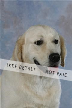 5493_sme _03__MG_9854.JPG