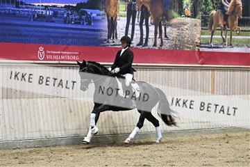 182241_kbb_01_Z093157.JPG