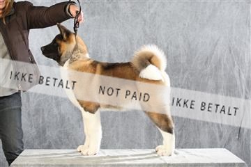 128239_le_ 06_0032.JPG