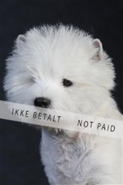 132082_le_ 01_IMG_0412.JPG