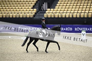 182194_kbb_01_Z095872.JPG