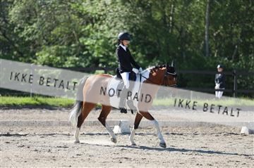 168732_mtp_01_3M5A5955.JPG