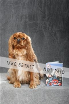 130054_le_ 01_0192.JPG