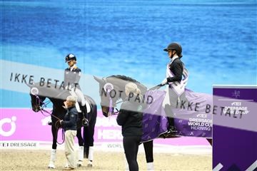 182194_avh_07_4531.JPG