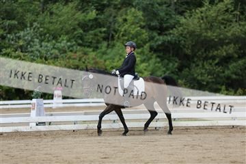 156196_nn_01_IMG_5899.JPG