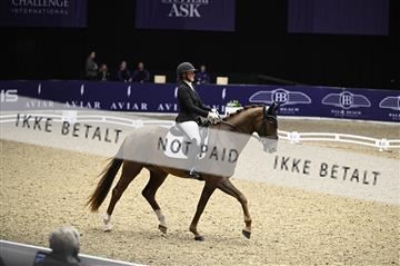 182194_kbb_01_Z097216.JPG