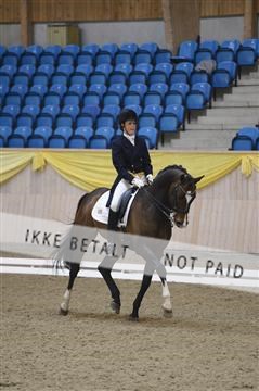 139403_ms_01__MS18177.JPG