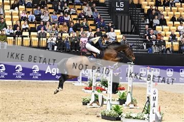 182194_kbb_02_Z099662.JPG