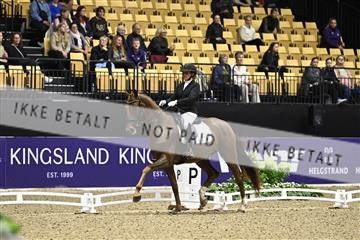 182194_kbb_03_Z090661.JPG
