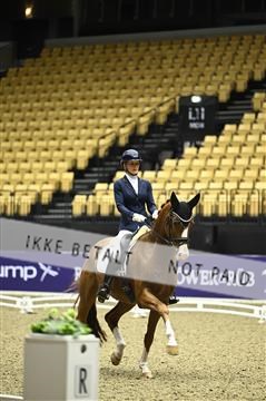 182194_kbb_02_Z097721.JPG