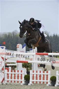 139644_abo_06__AB10242.JPG