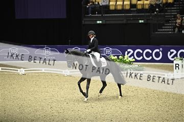 182194_kbb_01_Z096342.JPG