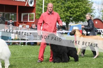 134871_ms_04_IMG_1123.JPG