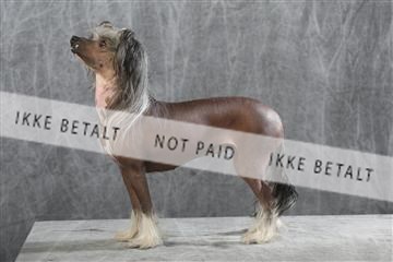 129608_le_ 01_0764.JPG