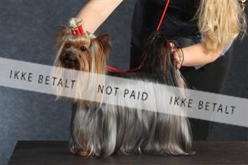 132082_le_ 01_IMG_0355.JPG