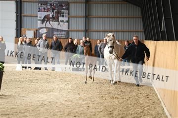 174362_kbb_01_R6II7782.JPG