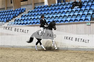 182241_kbb_01_Z093137.JPG