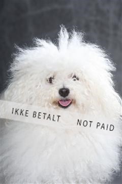 130054_le_ 01_0162.JPG