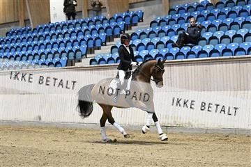 182241_kbb_01_Z092983.JPG