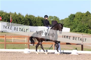 181449_bc_01R62_6355.JPG
