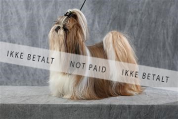 128239_le_kort_ 01_0379.JPG