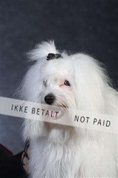 132082_le_ 01_IMG_0298.JPG