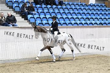 182241_kbb_01_Z093184.JPG
