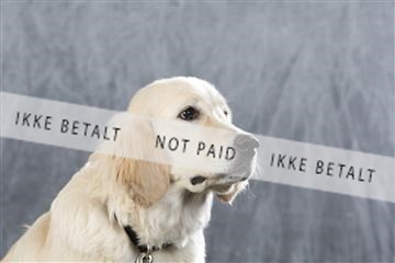 128239_le_ 06_0003.JPG