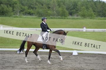 140040_abo_01__AB16411.JPG