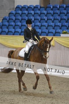 139403_ms_01__MS17938.JPG