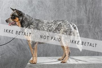 130054_le_ 01_0365.JPG