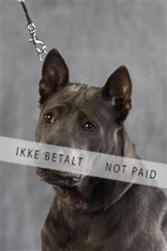 128239_le_ 06_0068.JPG