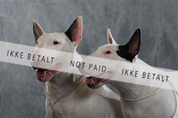 128239_le_kort_ 01_0296.JPG