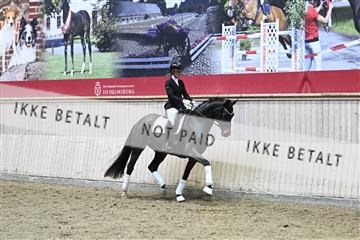 182241_kbb_01_Z093611.JPG
