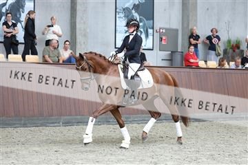 181852_mtp_04_R62_2982.JPG