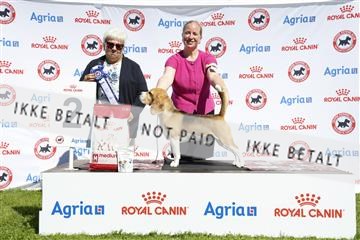 181564_ch_01__62_9499.JPG