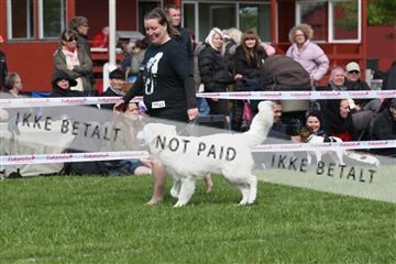 134871_ms_02_IMG_3589.JPG