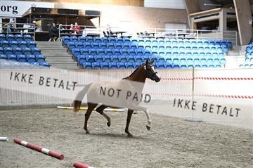 181754_kbb_01_Z093307.JPG