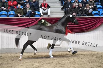 164516_kuo_01_D05_1916.JPG