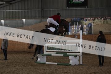139206_kl_1_8M1Q5246.JPG