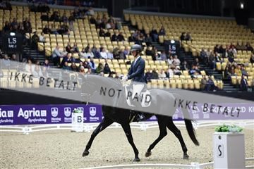 182194_mlm_02_R62_0650.JPG